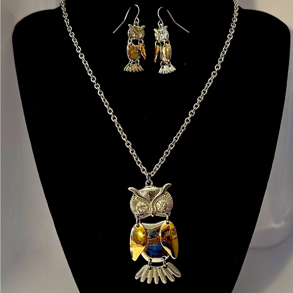Owl Necklace with Silver Chain and Matching Earrings- Christopher & Banks